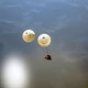 Image for article titled Here's What To Expect During The First Orion Test Flight